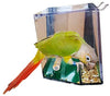 Birds Love - Comedero para pájaros - BESTMASCOTA.COM