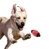 Juguete para perro Nerf de goma - BESTMASCOTA.COM