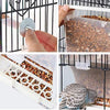 Old Tjikko - Comedero automático para loros, sin ensuciar, para pájaros, jaula, accesorios para Budgerigar, Canario, Cockatiel, Finch, Parakeet, Seed Food Container - BESTMASCOTA.COM