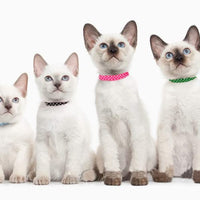PUPTECK Collar de gato – 6 piezas de lunares ajustables con campana Fit Kitty - BESTMASCOTA.COM