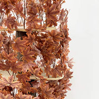 On2Pets Cat Condo Muebles - BESTMASCOTA.COM
