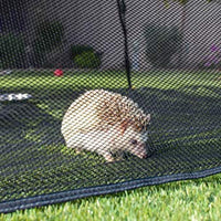 Outback Jack Outdoor Cat Enclosures For Indoor Cats [Portable Cat Tent, Cat Tunnel, and Playhouse] (Play Tents for Cats and Small Animals) - BESTMASCOTA.COM