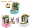 QSLQYB Rabbit Feeder Bunny Guinea Pig Hay Feeder, Hay Food Bin Feeder, Hay and Food Feeder Bowls Manger Rack for Rabbit Guinea Pig Chinchilla and Other Small Animals - BESTMASCOTA.COM