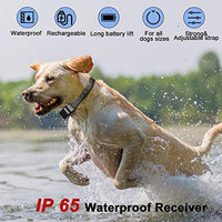 Zeonetak collar de corteza en spray para entrenamiento de perro, Citronella Control Stop ladrando collar para perros pequeño, mediano, grande, ajustable, recargable, impermeable, sin golpes y humanos - BESTMASCOTA.COM