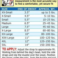 Cuatro banderas grandes, Quick Bozzle, color azul - BESTMASCOTA.COM