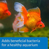 API DE PECES Acuario Limpiador - BESTMASCOTA.COM