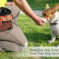 VIVAGLORY - Bolsa de regalo para perros, estilo deportivo y apertura ampliada, bolsa de regalo para perros con cintura ajustable, dispensador de bolsas de caca lo suficientemente grande para llevar golosinas, kibbles, juguetes para mascotas | 2 maneras de - BESTMASCOTA.COM