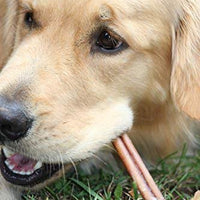 Downtown Pet Supply 12 pulgadas Bully Sticks – Gran Selección Grueso – golosinas para masticar perros, carne natural masticables hace grandes golosinas dentales para perros (12 pulgadas) - BESTMASCOTA.COM