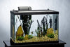 Tetra kit completo de acuario de 20 galones con calentador de filtro LED y plantas - BESTMASCOTA.COM