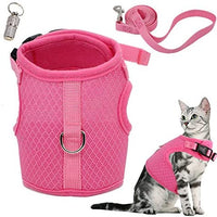 WONDERPUP - Arnés ajustable para gato con correa para caminar, a prueba de escape, malla de aire suave para gatitos, cachorros, conejos, perros pequeños - BESTMASCOTA.COM