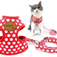 Ranphy - Arnés, sin tirar, acolchado, chaleco y correa para pasear con arnés de entrenamiento para niños y niñas, malla ajustable para gatos - BESTMASCOTA.COM