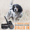SportDOG Brand 425 - Collar electrónico con control remoto (500 yardas, estático, vibratorio y tono, impermeable, recargable, incluye nueva serie X) - BESTMASCOTA.COM