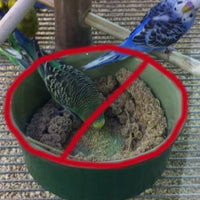 feathersmart horizontal Millet soporte - BESTMASCOTA.COM