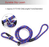 Correa Coolrunner collar de entrenamiento para mascota de Cesar el encantador de perros - BESTMASCOTA.COM