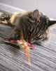 SmartyKat Fish Friends Crinkle and Catnip Juguetes para gatos - BESTMASCOTA.COM