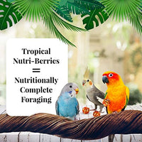 lafeber S Gourmet frutas tropicales nutri-berries para loros bolsa de 3 lbs. - BESTMASCOTA.COM