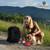 SunGrow Collapsible, Portable Pet Travel Bowl, Food, Water Feeder for Camping, Hiking, Journey, Food-Grade, BPA-Free, Carabiner Clip for Easy Storage, Feed Dog/cat Anytime, Anywhere - BESTMASCOTA.COM