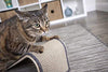 Rascador de sisal SmartyKat Scratch - BESTMASCOTA.COM