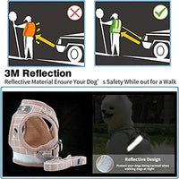 Vetoo Arnés ajustable a prueba de escape, arnés de gatito reflectante y correa para caminar gato arnés universal para mascotas para gatos - BESTMASCOTA.COM