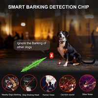 Zeonetak collar de corteza en spray para entrenamiento de perro, Citronella Control Stop ladrando collar para perros pequeño, mediano, grande, ajustable, recargable, impermeable, sin golpes y humanos - BESTMASCOTA.COM