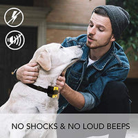 Downtown – Kit para mascotas con cuello de citronela en spray, antiladrillos para perros – Collar seguro y eficaz y con control de ladridos para perros - BESTMASCOTA.COM