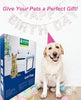 Success - Puertas para gatos grandes para puertas interiores y exteriores, XL para mascotas para gatos y perros grandes, 4 vías con cierre de solapa para puertas correderas, ventanas y paredes, marrón, tamaño exterior 11.0 x 9.8 in - BESTMASCOTA.COM