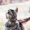 Collar en forma de corbata de lazo para la seguridad de gatos independientes, suave, ajustable y pulsera de la amistad para usted - BESTMASCOTA.COM