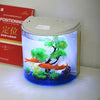 Freesea tanque de peces Betta de 1,4 galones con luz LED y bomba de filtro - BESTMASCOTA.COM