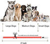 Collar LED para perro, recargable por USB, collar brillante para perro, cuello iluminado, mejora la seguridad y visibilidad de la mascota en la noche, 3 modos intermitentes, resistente al agua, collar iluminado para perros pequeños y medianos grandes - BESTMASCOTA.COM