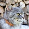 Collar en forma de corbata de lazo para la seguridad de gatos independientes, suave, ajustable y pulsera de la amistad para usted - BESTMASCOTA.COM