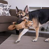 goDog Flatz Juguete para perro con protector para masticar - BESTMASCOTA.COM