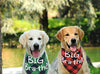 Busypaws 3 PCS Big Brother Dog Bandanas Plaid Reversible Triangle Bibs Pet Scarf Accessories - BESTMASCOTA.COM