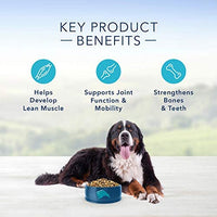 Blue Buffalo Life Protection Formula Large Breed Dog Food – Natural Dry Dog Food for Adult Dogs – Chicken and Brown Rice – 15 lb. Bag - BESTMASCOTA.COM