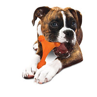 Nylabone Dura Masticar Poder Masticar Perro Juguete - BESTMASCOTA.COM