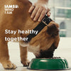 IAMS PROACTIVE HEALTH Minichunks Dry Dog Food, Chicken - BESTMASCOTA.COM