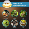 AMZCOOL UVB and UVA Reptile Heat Lamp Bulb Truly Sun-Like Bright Heat for Reptiles, Amphibian and Birds - BESTMASCOTA.COM