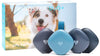 Findster Duo+ Pet Tracker Free of Monthly Fees - GPS Tracking Collar for Dogs and Cats & Pet Activity Monitor - BESTMASCOTA.COM