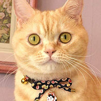 Necoichi Zen Hariko - Collar para gato - BESTMASCOTA.COM