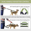 Correa para perro de LANNEY, manos libres, para correr, caminar, correr, entrenar senderismo, correa elástica retráctil para perros medianos a grandes, cinturón de cintura ajustable, costuras reflectantes, doble asa - BESTMASCOTA.COM