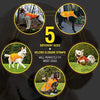 Chaleco reflectante de seguridad para perros, 5 tamaños para adaptarse a perros de 10 libras – 130 libras: alta visibilidad para actividades al aire libre día y noche, mantiene a tu perro visible, seguro de coches y accidentes de caza | Blaze Orange chale - BESTMASCOTA.COM