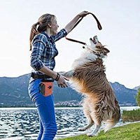 Bolsa de entrenamiento para mascotas con cinturón para mascotas Juguetes Kibble Treats Sport Running Cordón Cintura Bolsa de Caca Dispensador - BESTMASCOTA.COM