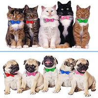 Thain - Collar para gato, diseño de pajarita - BESTMASCOTA.COM
