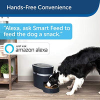 PetSafe Smart Feed alimentador automático para perros y gatos, alimentador de mascotas con Wi-Fi habilitado, aplicación para smartphone para iPhone y Android - BESTMASCOTA.COM