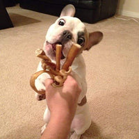 Pawstruck Mini Bully Sticks para perros pequeños y cachorros – Natural Bulk Dental Treats para razas de juguete, carne de vacuno en miniatura mejor bajo olor Pizzle Stix masticar en primavera, trenzas, pesas - BESTMASCOTA.COM