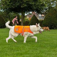 Chaleco reflectante de seguridad para perros, 5 tamaños para adaptarse a perros de 10 libras – 130 libras: alta visibilidad para actividades al aire libre día y noche, mantiene a tu perro visible, seguro de coches y accidentes de caza | Blaze Orange chale - BESTMASCOTA.COM