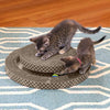 Kitty City XL Wide Premium Scratching Collection, Corrugate Cat Scratchers 2 Pieces, Cat Scratching Toy - BESTMASCOTA.COM
