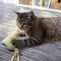 Petlinks System Sweet Tweet Cat Toy - BESTMASCOTA.COM