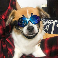 Enjoying Dog Goggles - Small Dog Sunglasses Waterproof Windproof UV Protection for Doggy Puppy Cat - BESTMASCOTA.COM