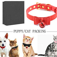 Collar de piel sintética con lazo para gato, con campana, gato, gato, ajustable, de seguridad - BESTMASCOTA.COM