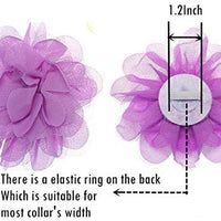 Collar para perro con flores y abalorios, deslizadores para collares de perro - BESTMASCOTA.COM